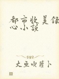 都市收美录宁素心小说