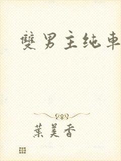双男主纯车骨科