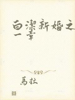 白洁新婚之夜第一章