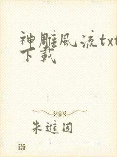 神雕风流txt下载