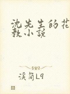 沈先生的花式管教小说