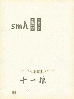 smhС˵封面