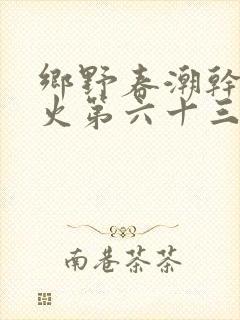 乡野春潮干柴烈火第六十三章