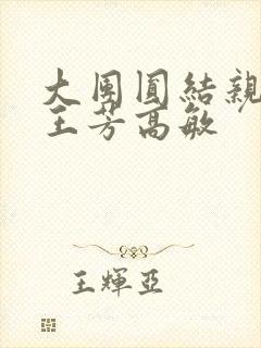 大团圆结亲情会王芳高敏