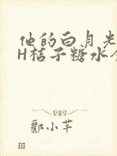 他的白月光HVH桔子糖水全文