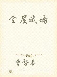 金屋藏娇封面