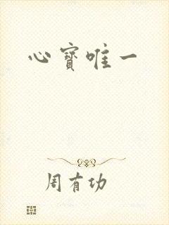 心宝唯一