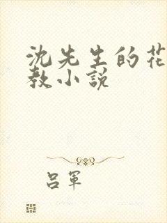 沈先生的花式管教小说