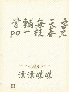 首辅每天要不够po一枝春免费阅读封面