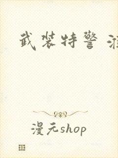 武装特警 淮上封面