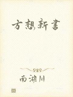方想新书