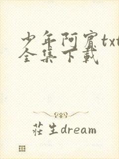 少年阿宾txt全集下载