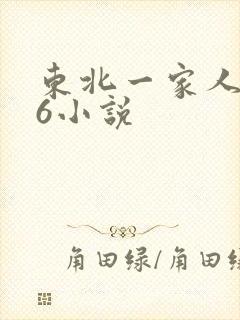 东北一家人1一6小说