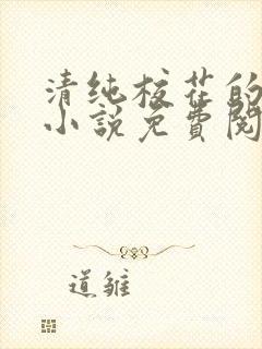 清纯校花的秘密小说免费阅读