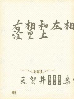 右相和左相一起淦皇上