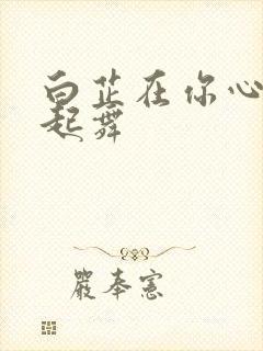 白芷在你心尖上起舞封面