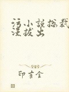 污小说总裁整夜没拔出封面