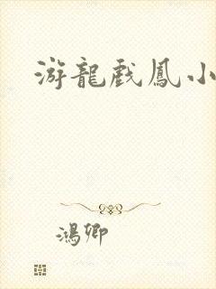 游龙戏凤小说封面