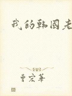 我的韩国老婆封面