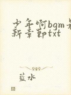 少年啊bgm最新章节txt