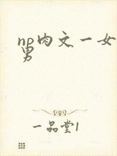 np肉文一女多男