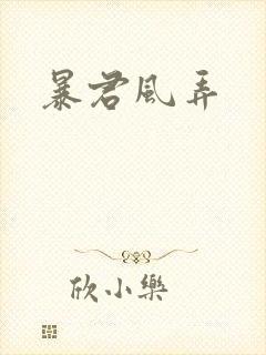 暴君风弄封面