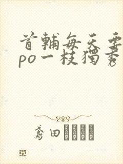 首辅每天要不够po一枝独秀全文