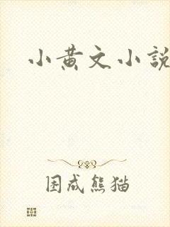 小黄文小说