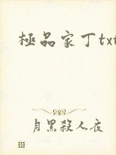 极品家丁txt