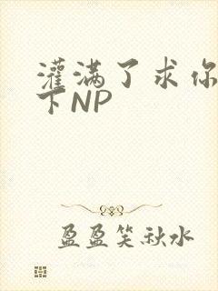 灌满了求你们停下NP