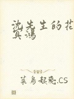 沈先生的花式调冥鸿