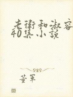 老卫和淑容1-40集小说封面