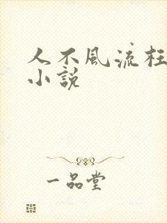 人不风流枉少年小说