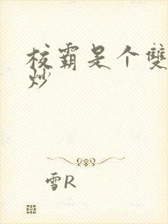 校霸是个双被爆炒封面