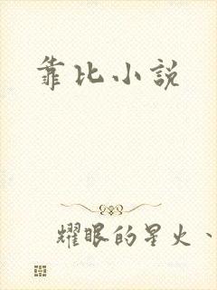 靠比小说封面
