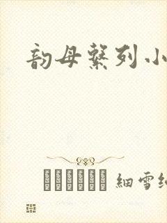 韵母系列小说封面