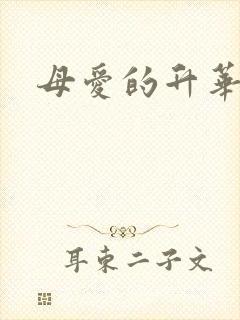 母爱的升华