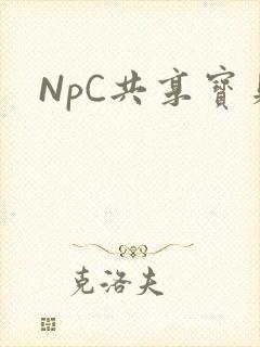 NpC共享宝贝
