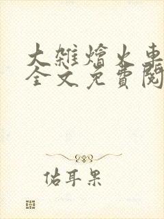 大杂烩火车小说全文免费阅读