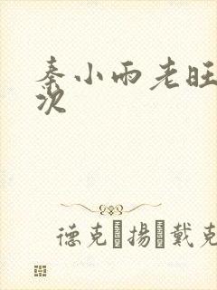 秦小雨老旺第一次