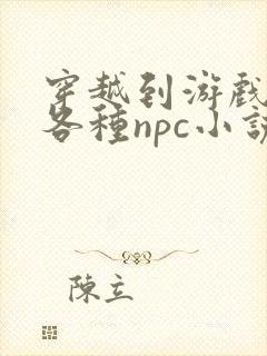 穿越到游戏里和各种npc小说