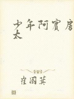 少年阿宾房东太太