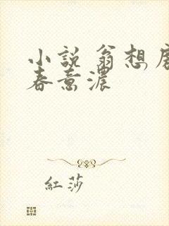 小说 翁想房中春意浓