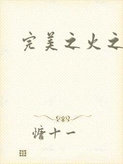 完美之火之灰烬封面