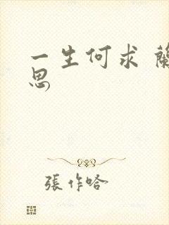 一生何求 兰思思封面