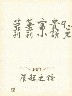 荣华富贵9小王莉莉小说免费阅读