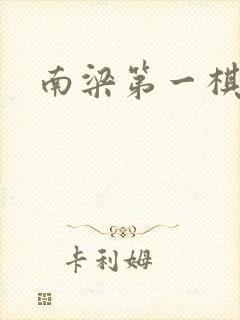 南梁第一棋手封面