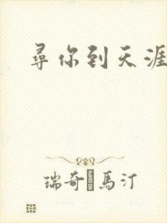 寻你到天涯