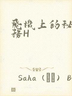 飞机上的秘密服务H