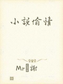小说偷情